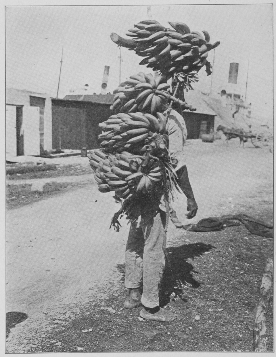Black and white photograph of a worker carrying an enormous bunch of bananas on his back at a port, with a large ship and warehouse visible in the background, 1913.